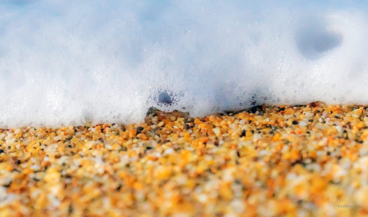 FocalZero tweet media