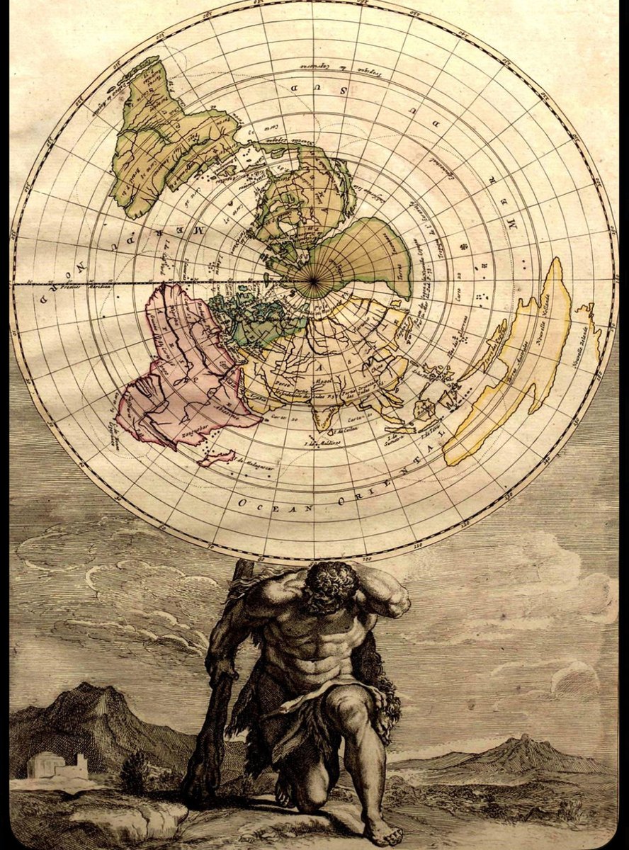 متفكر tweet media