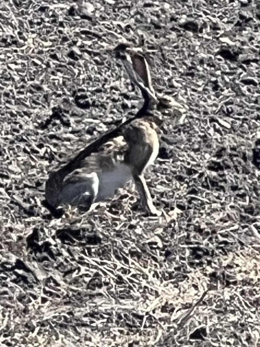 Fishmaster23 tweet media