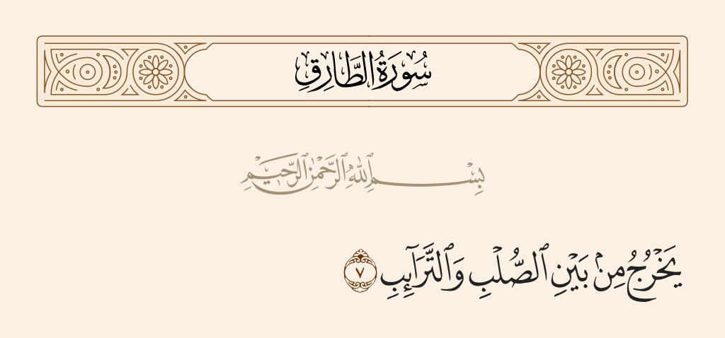 Orion 🪼 tweet media