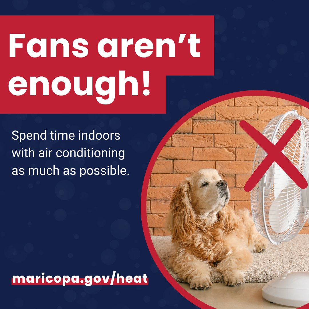 Maricopa County Public Health tweet media