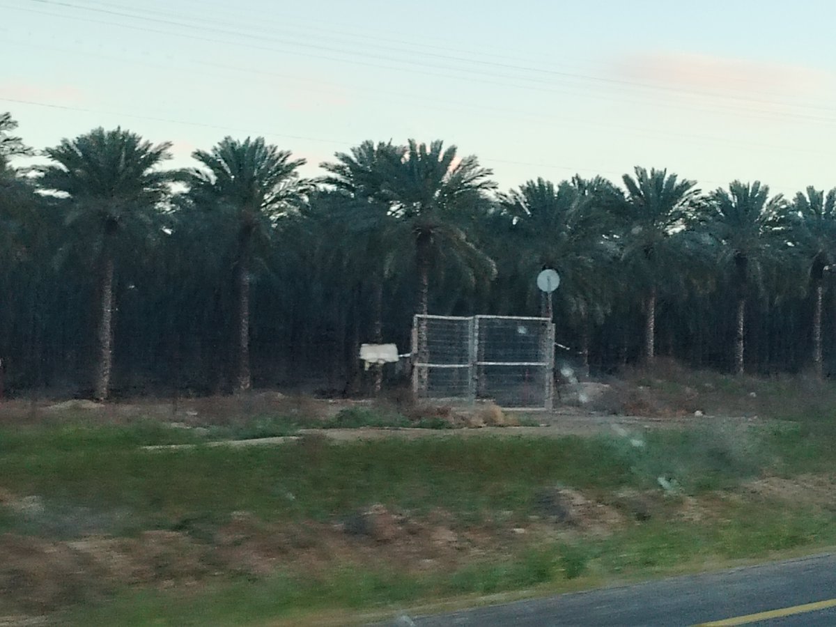 Ludivine Bantigny tweet media