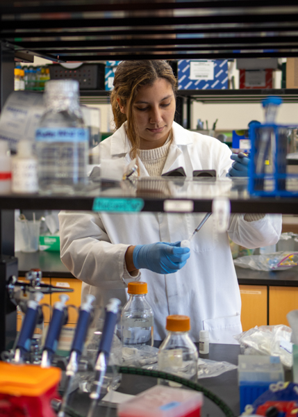 MSU Microbiology, Genetics, & Immunology tweet media