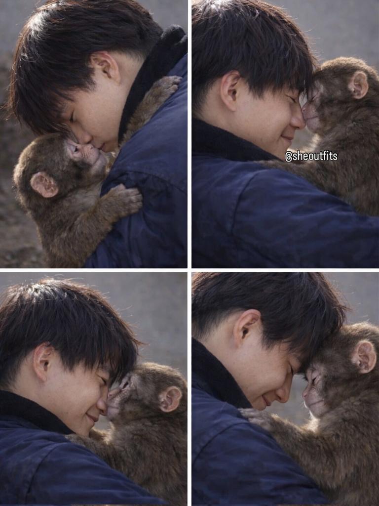 ANIMALIA tweet media