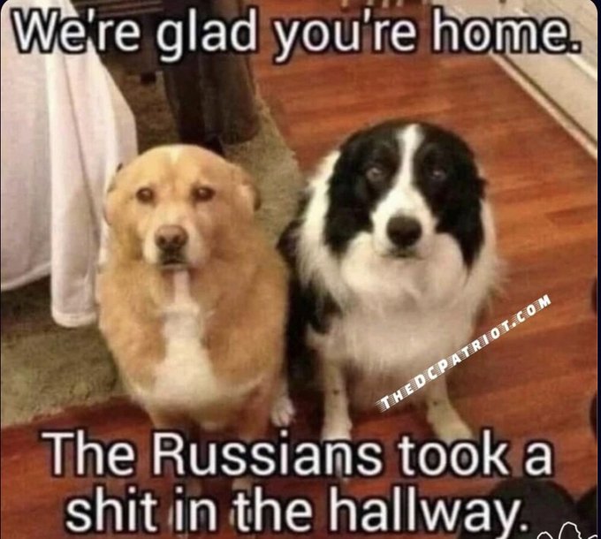 MAIDENanon tweet media