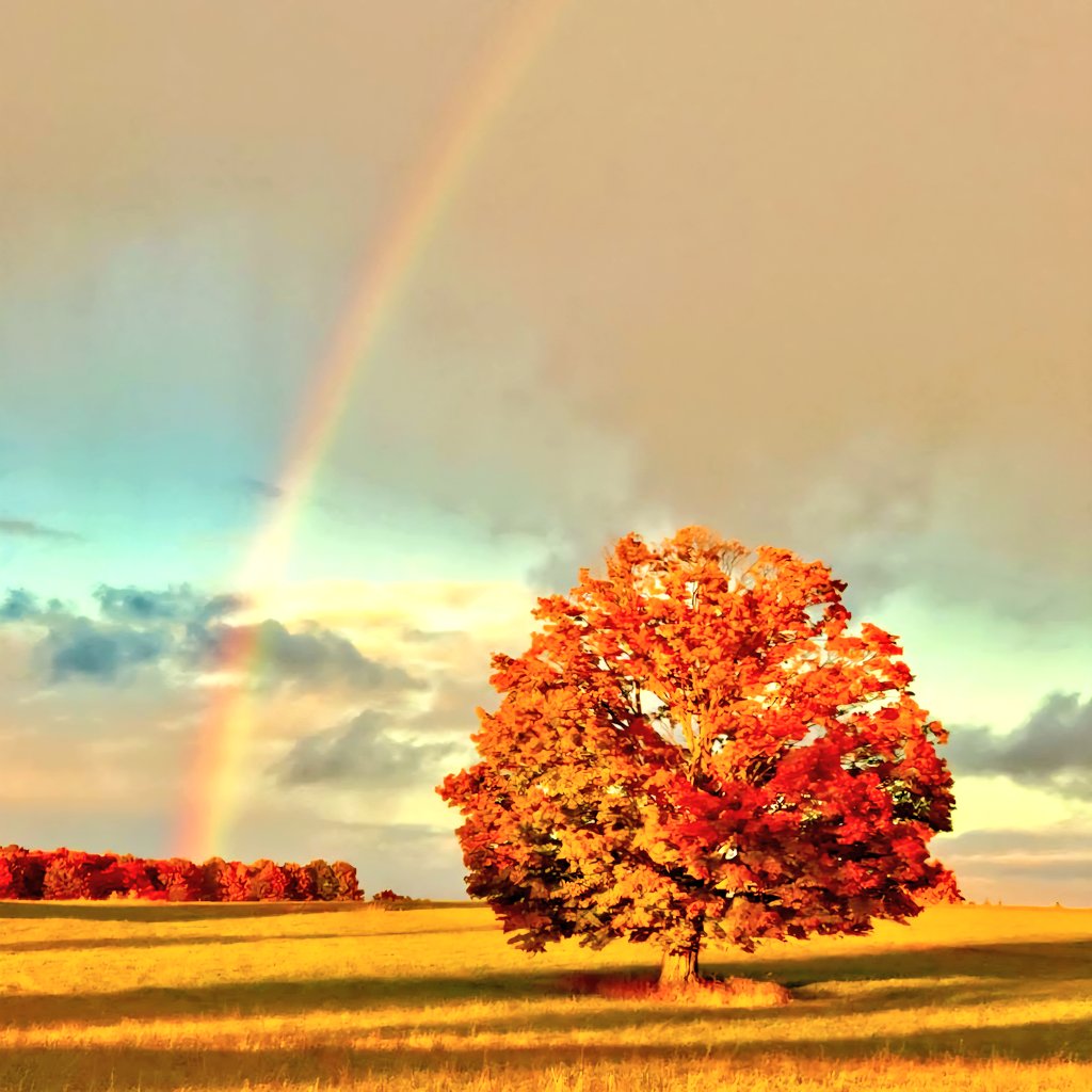 julie 💭 tweet media