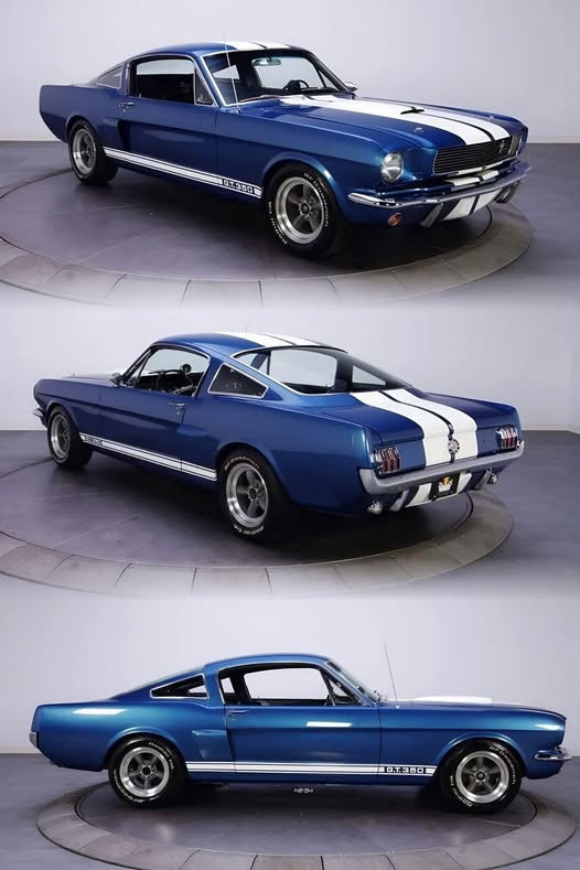 Connie 🇺🇸 tweet media