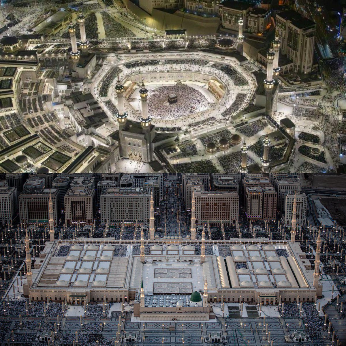 أخبار السعودية tweet media