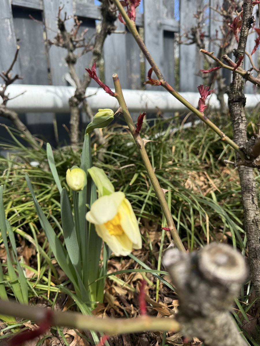 Phil McNamara tweet media