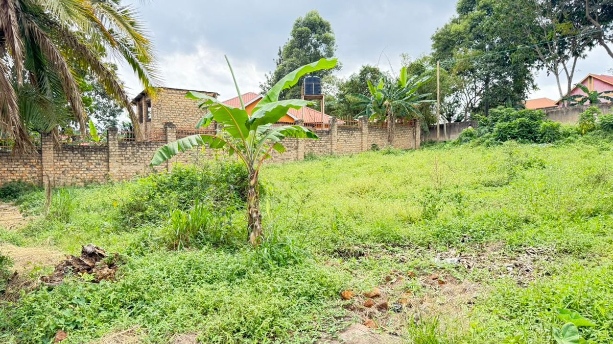 Nuel Muhumuza tweet media