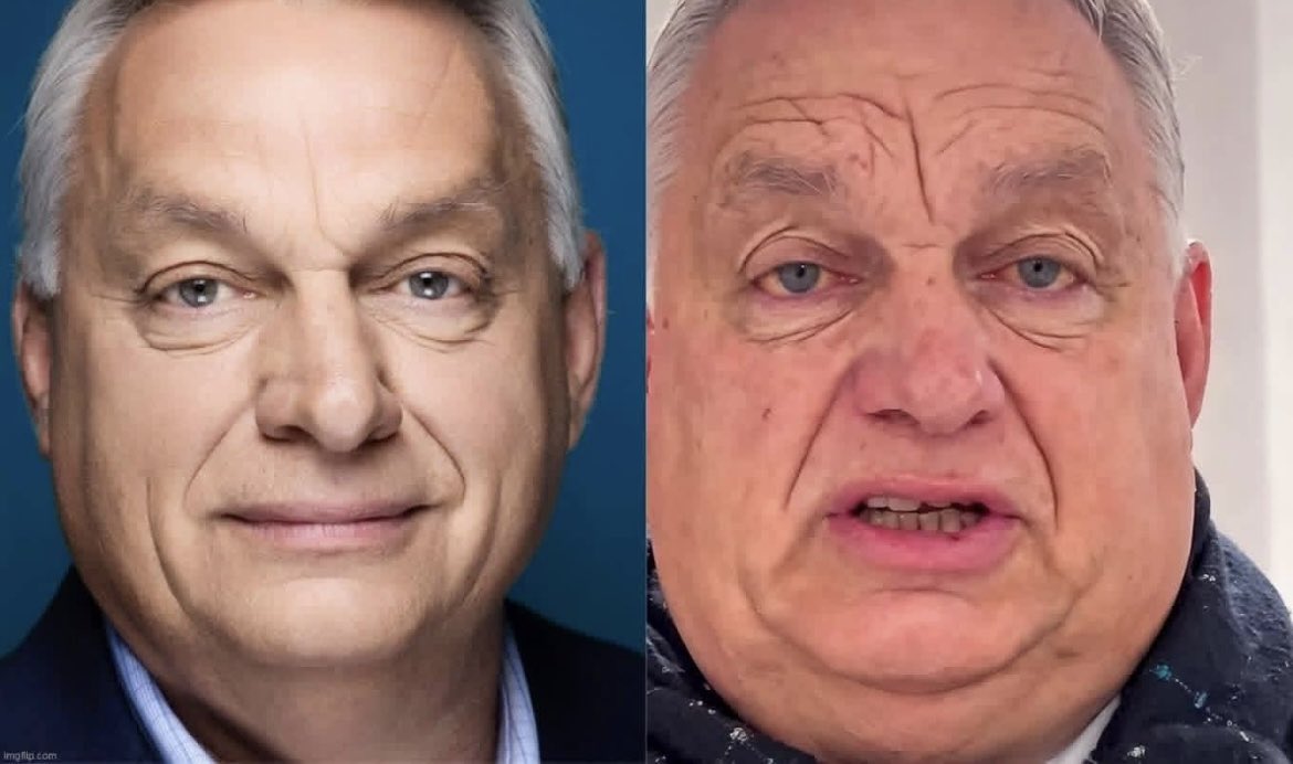 Kritischer Beobachter tweet media