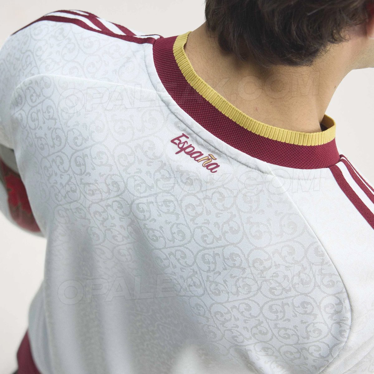 (fan) Aʟʙᴇʀᴛo tweet media