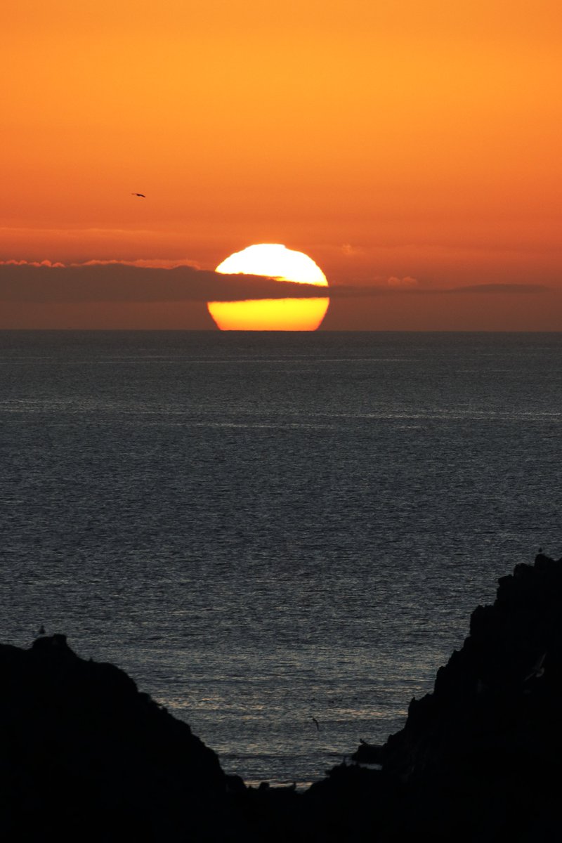 Andy Lawson tweet media