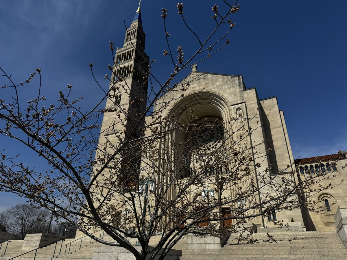 Alexis Walkenstein tweet media