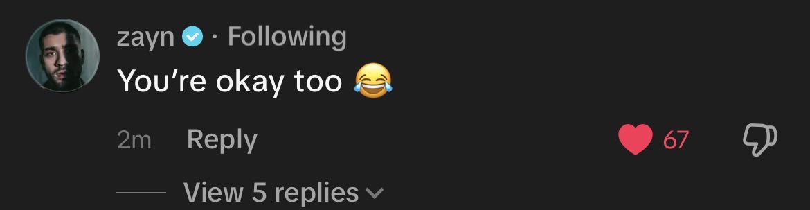 #ZAYN replied to the ‘Are You Okay?’ TikTok 😭

“You’re okay too 😂”