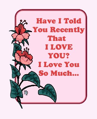 sheCodez tweet media