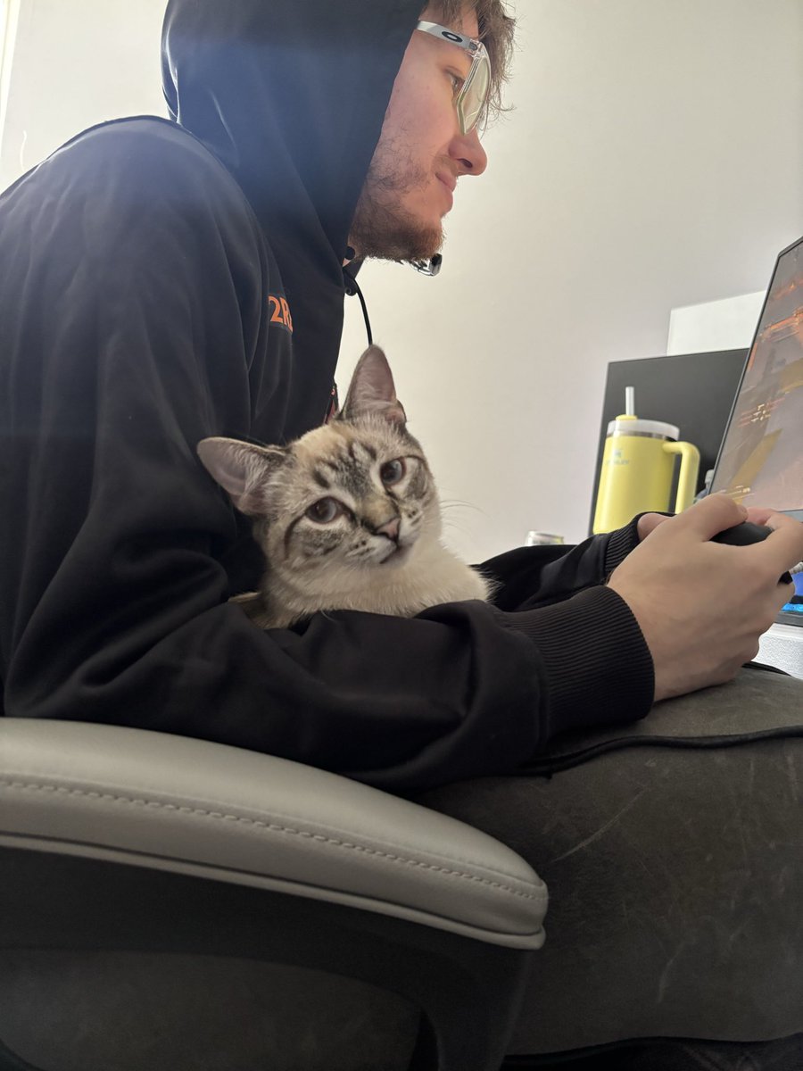 Kennedy Kyoko tweet media