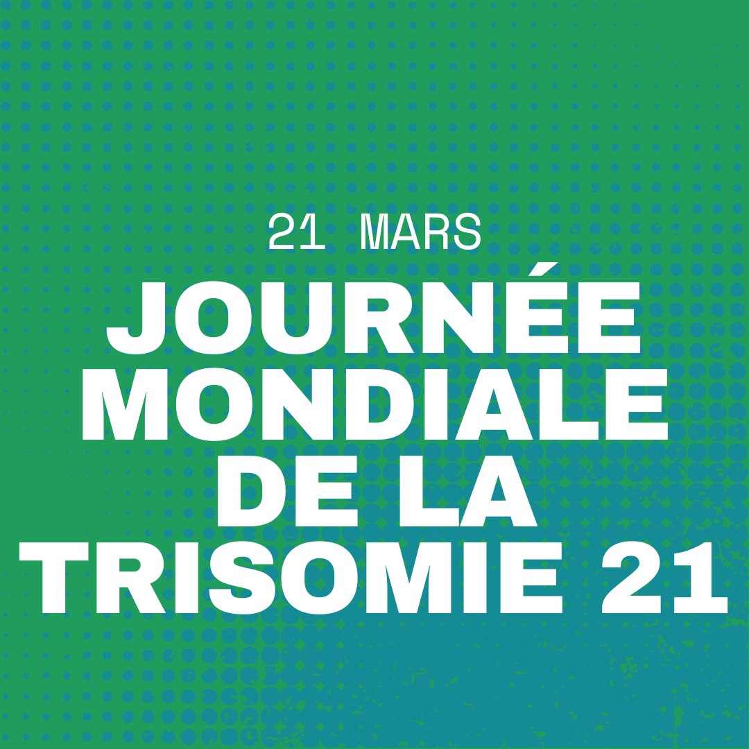 Nations Unies (ONU) tweet media