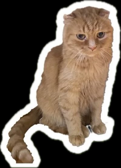 дід мітя (@ann_boiko) on Twitter photo 