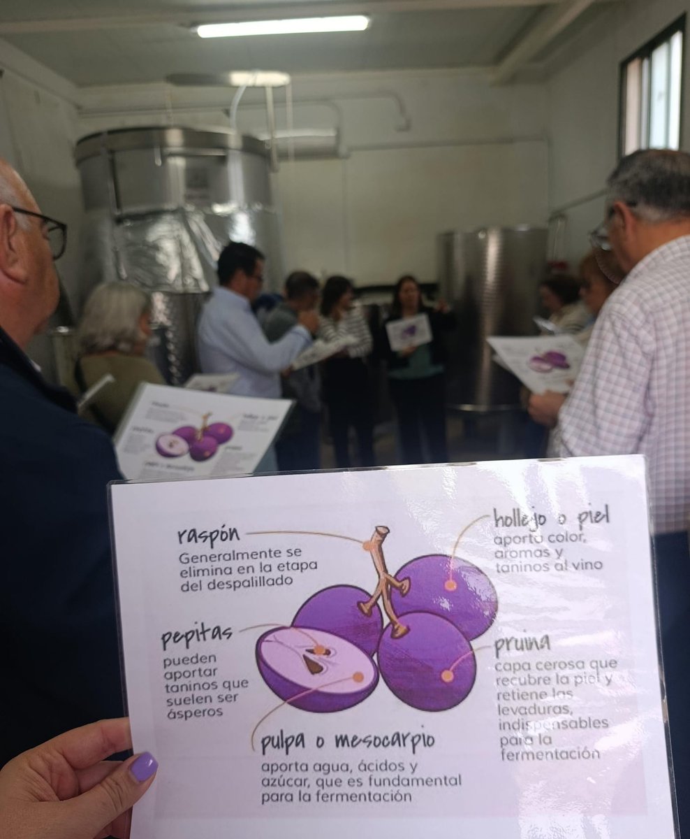 C.E.PER. - Miguel Hernández tweet media