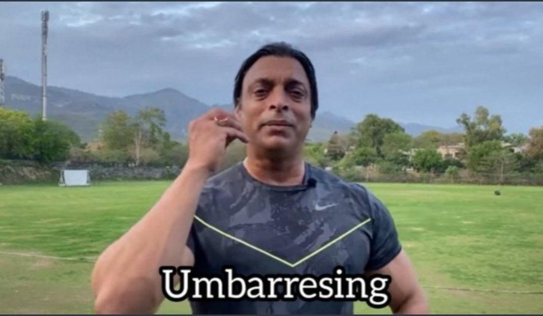 ℝ𝕧🐢 tweet media