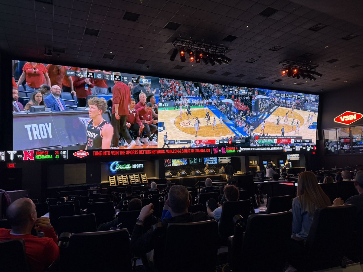 StickyMouse tweet media