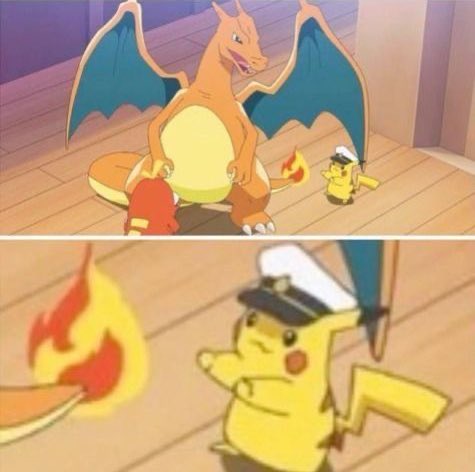 Pokémon Perfect shots tweet media