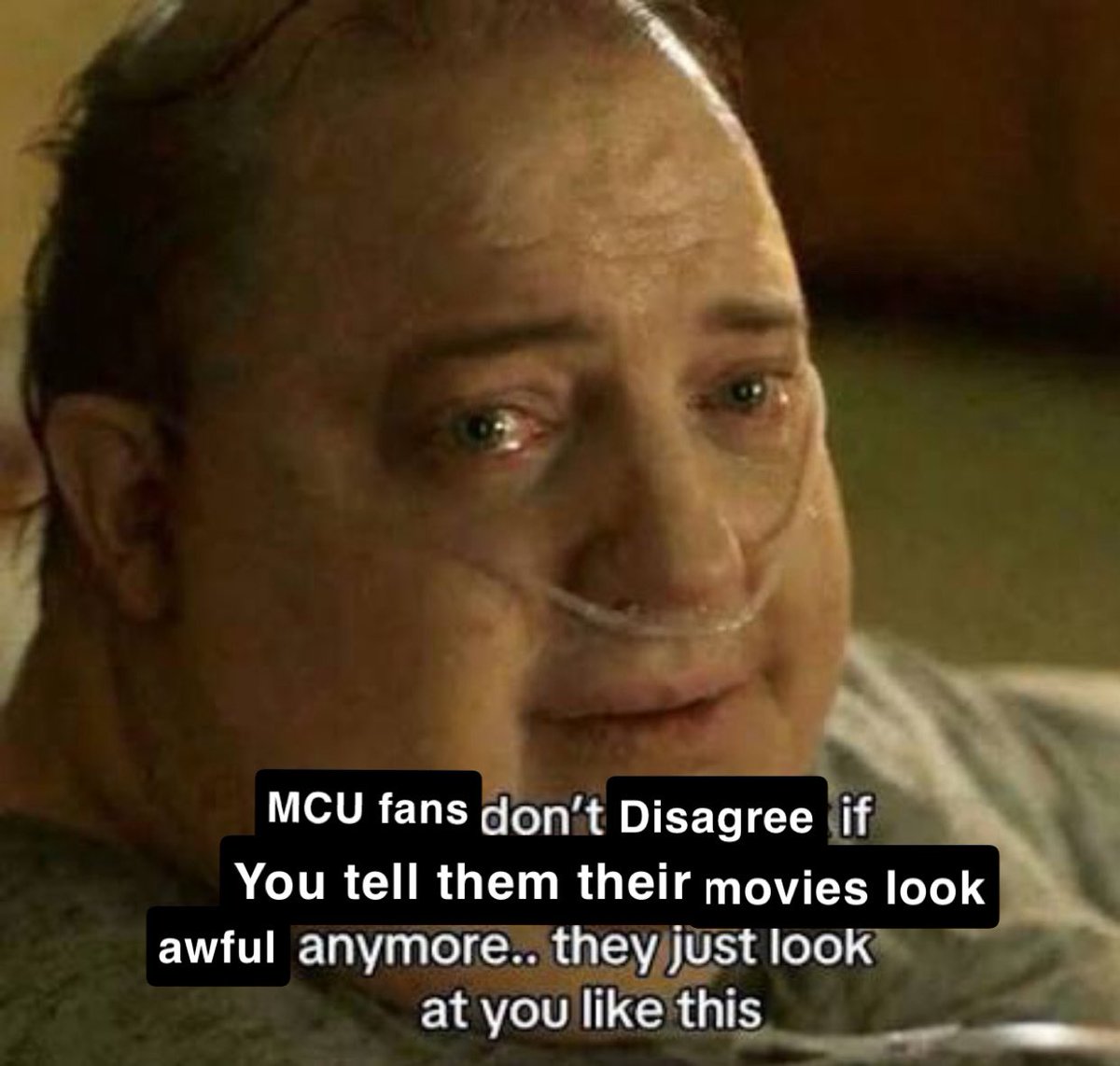 thomas (@thomasconlon54) on Twitter photo 