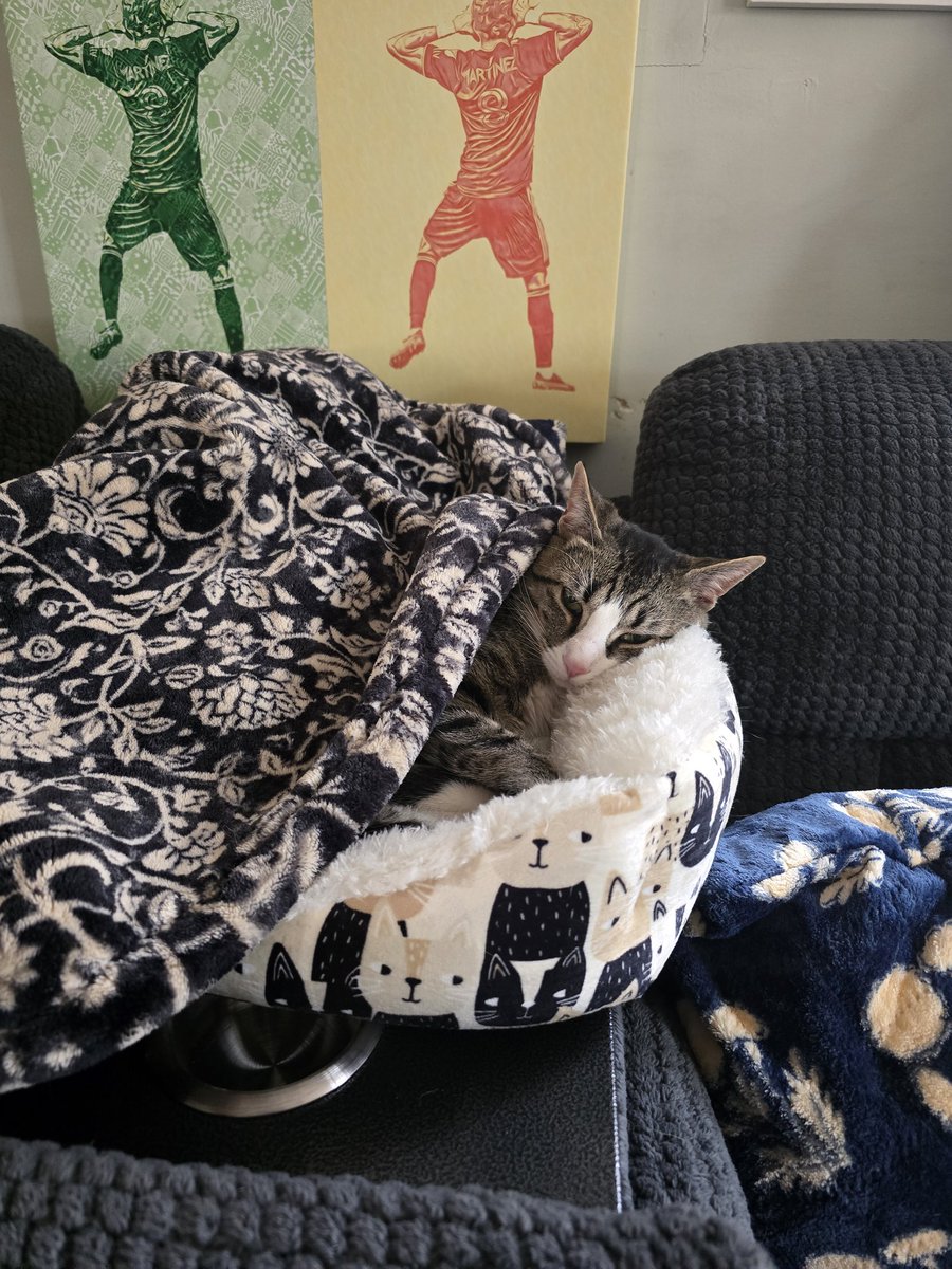 Mand0lyn tweet media