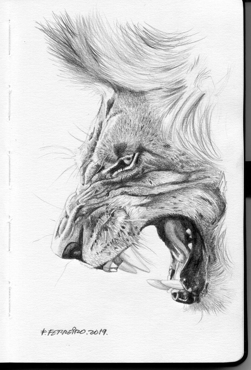 Fernando Ferreiro tweet media