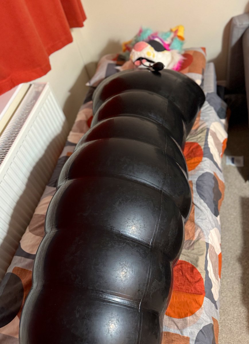 Skunkpet tweet media