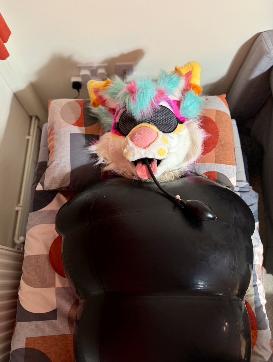 Skunkpet tweet media