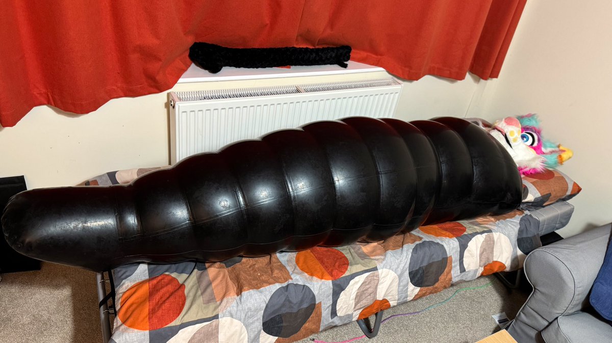 Skunkpet tweet media