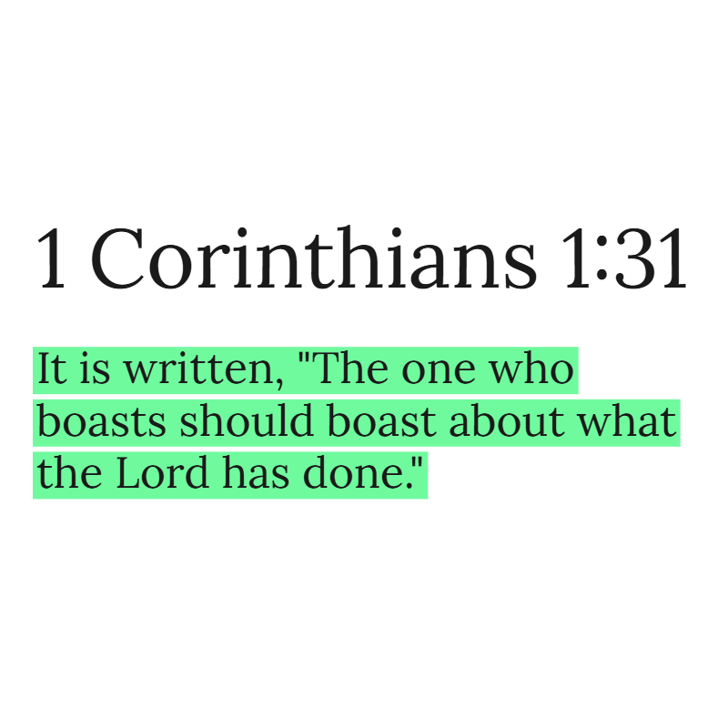 Holy Bible tweet media