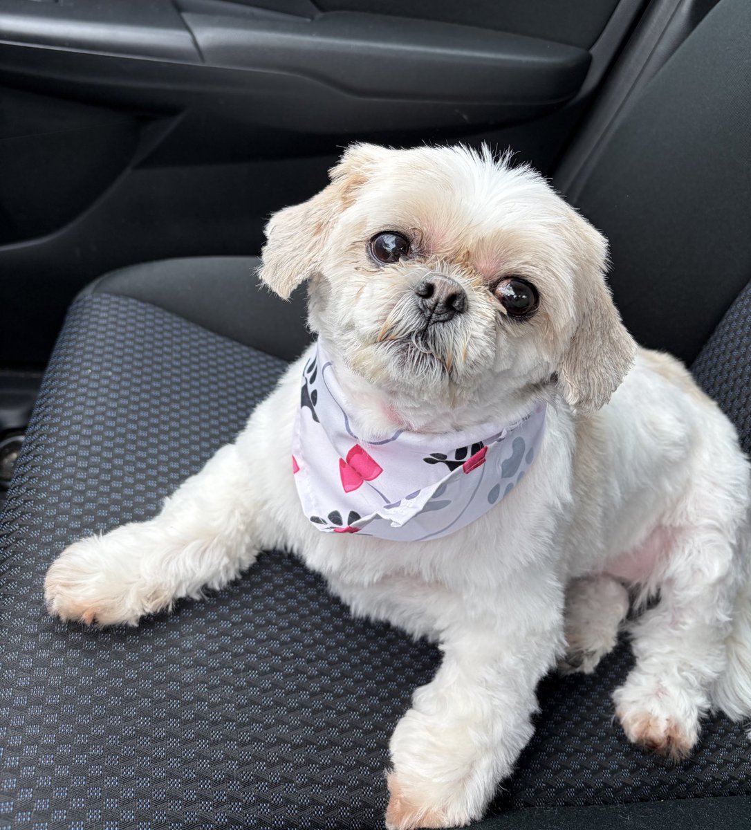 Philly-Anne Ann with an E tweet media