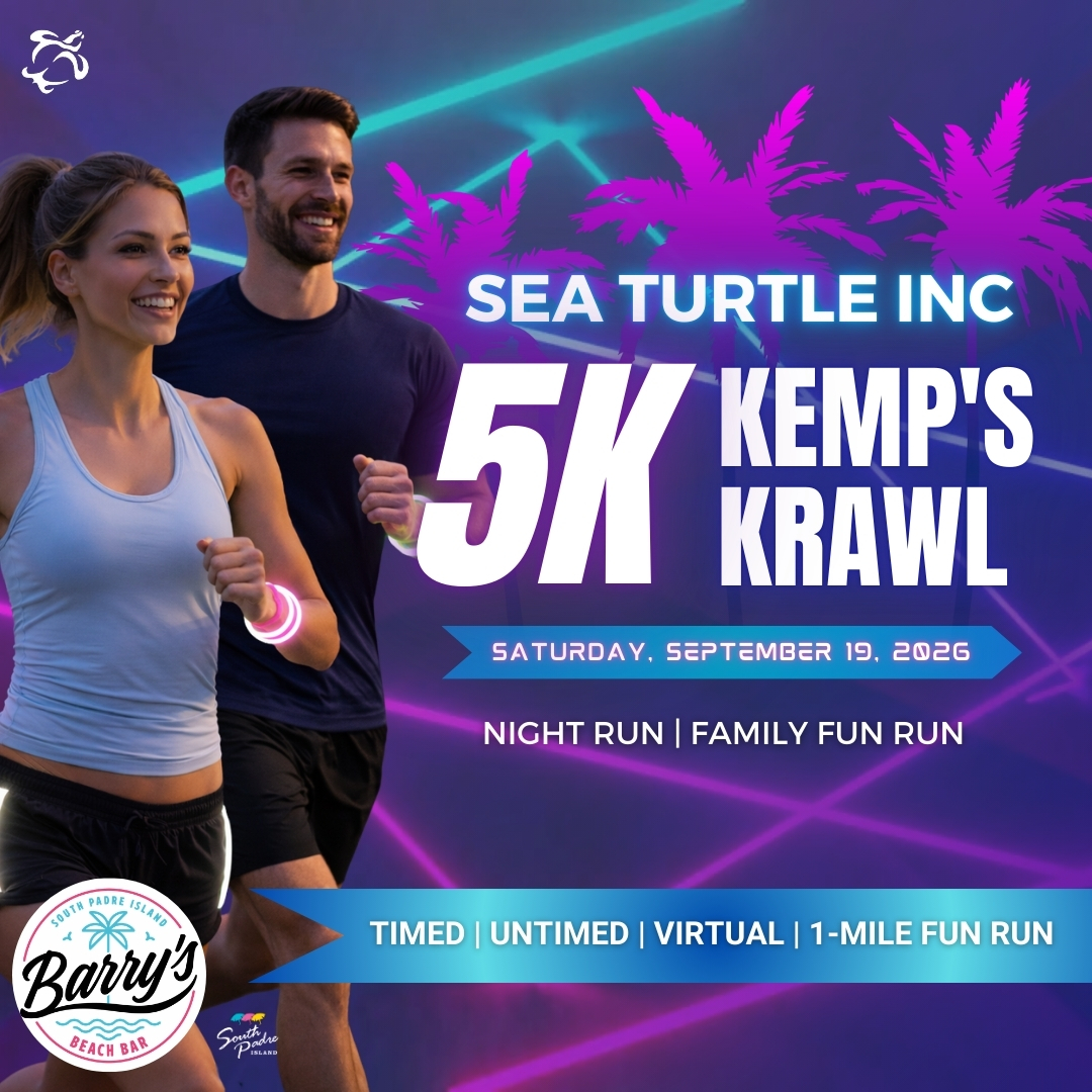 Sea Turtle, Inc. tweet media