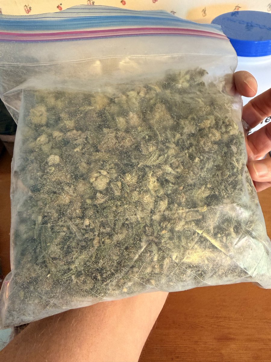 Jeremy ↙️↙️↙️ tweet media