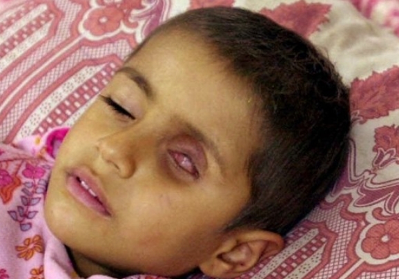 WARRENTHORNTON.COM tweet media