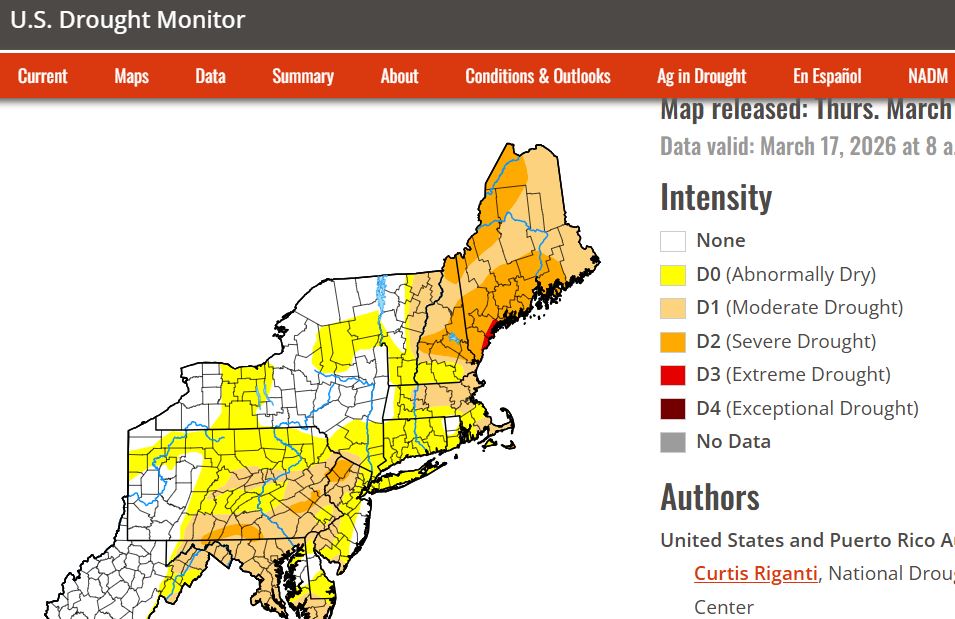 Grumpy Gumbo tweet media