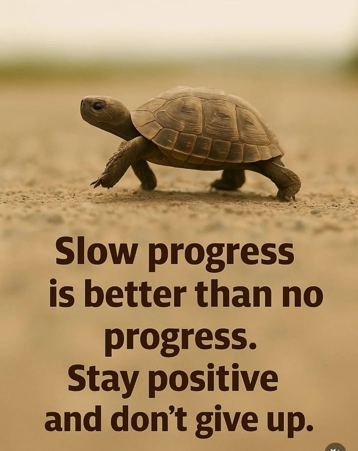 theendeavorpath tweet media