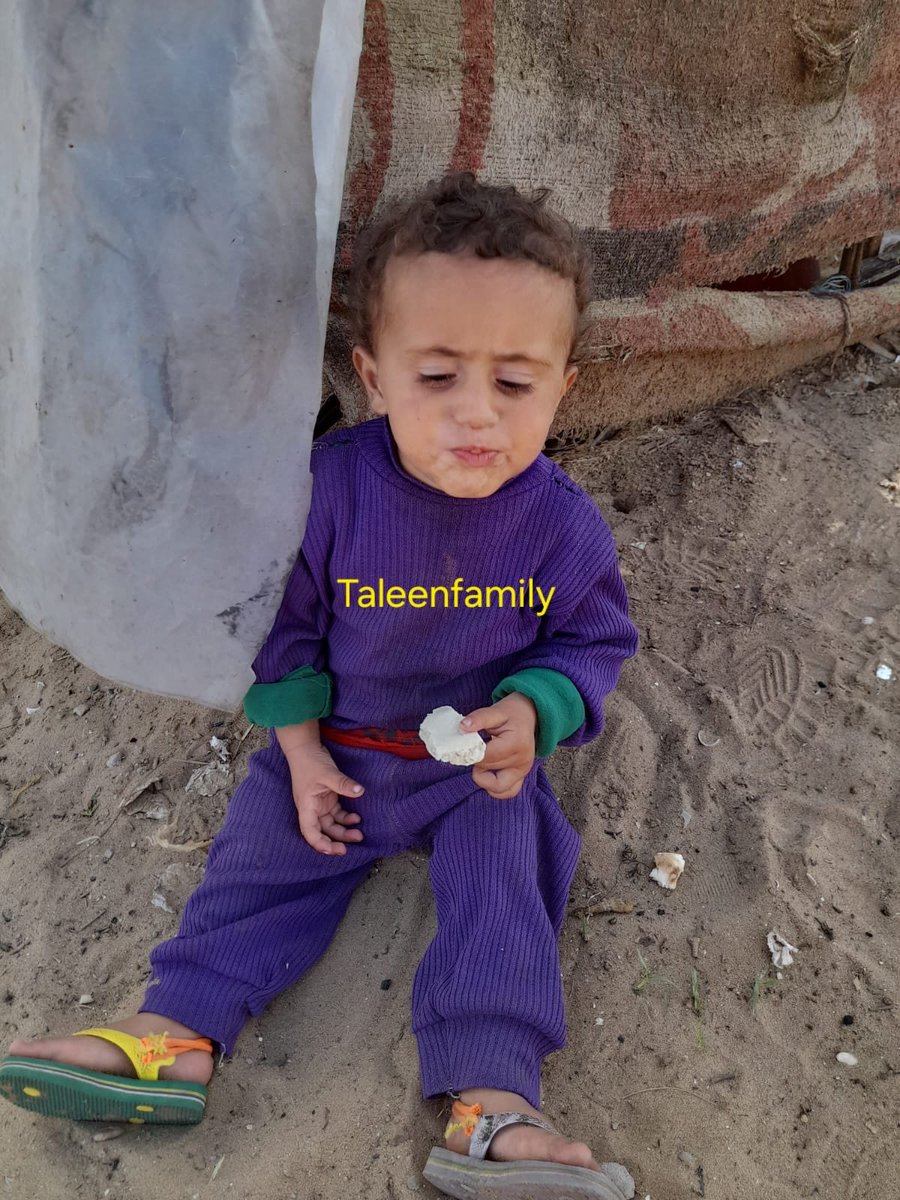 Taleen Family 🍉 tweet media