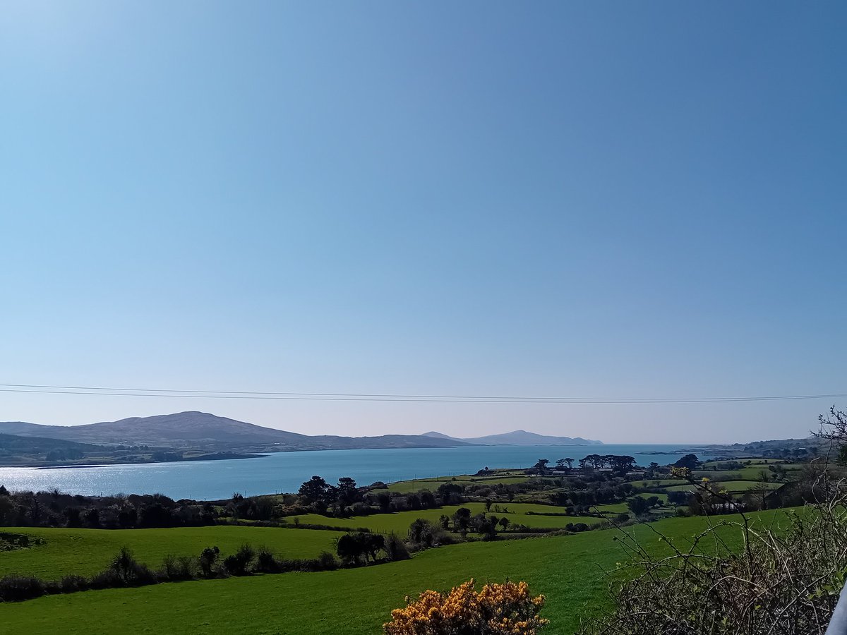 Anne Poole tweet media