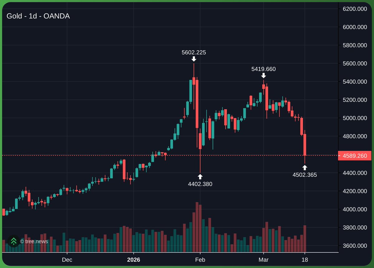 Stef 🪄 tweet media