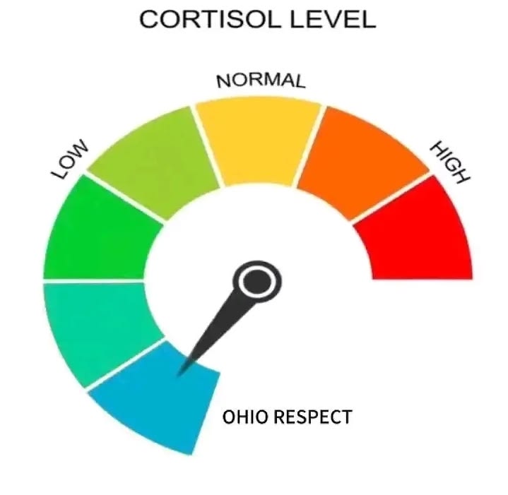 vecetable tweet media