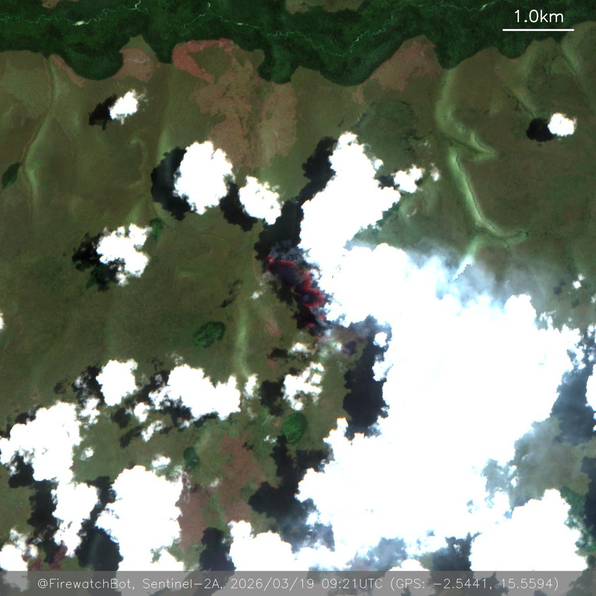 Firewatch Bot 🤖 tweet media