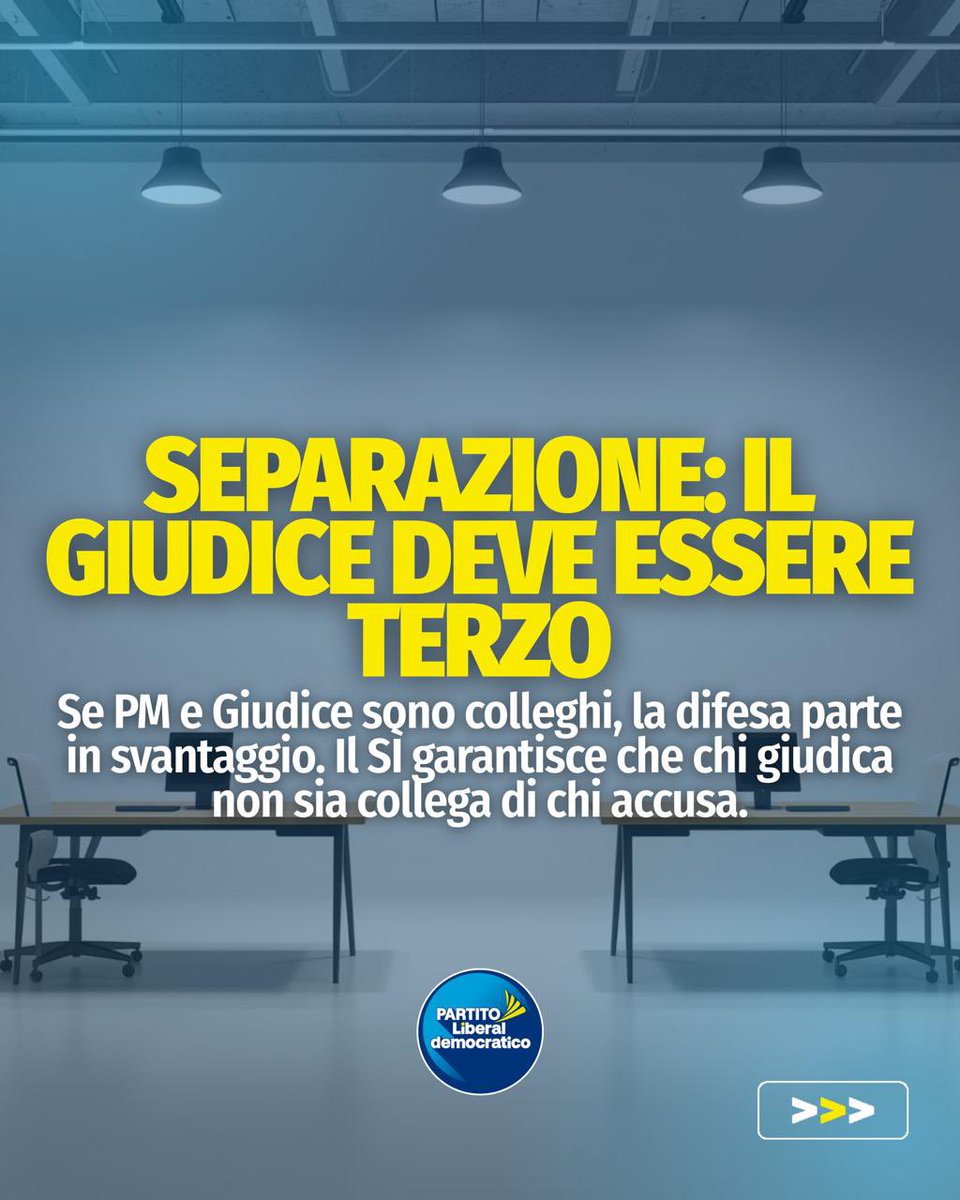 Partito Liberaldemocratico tweet media