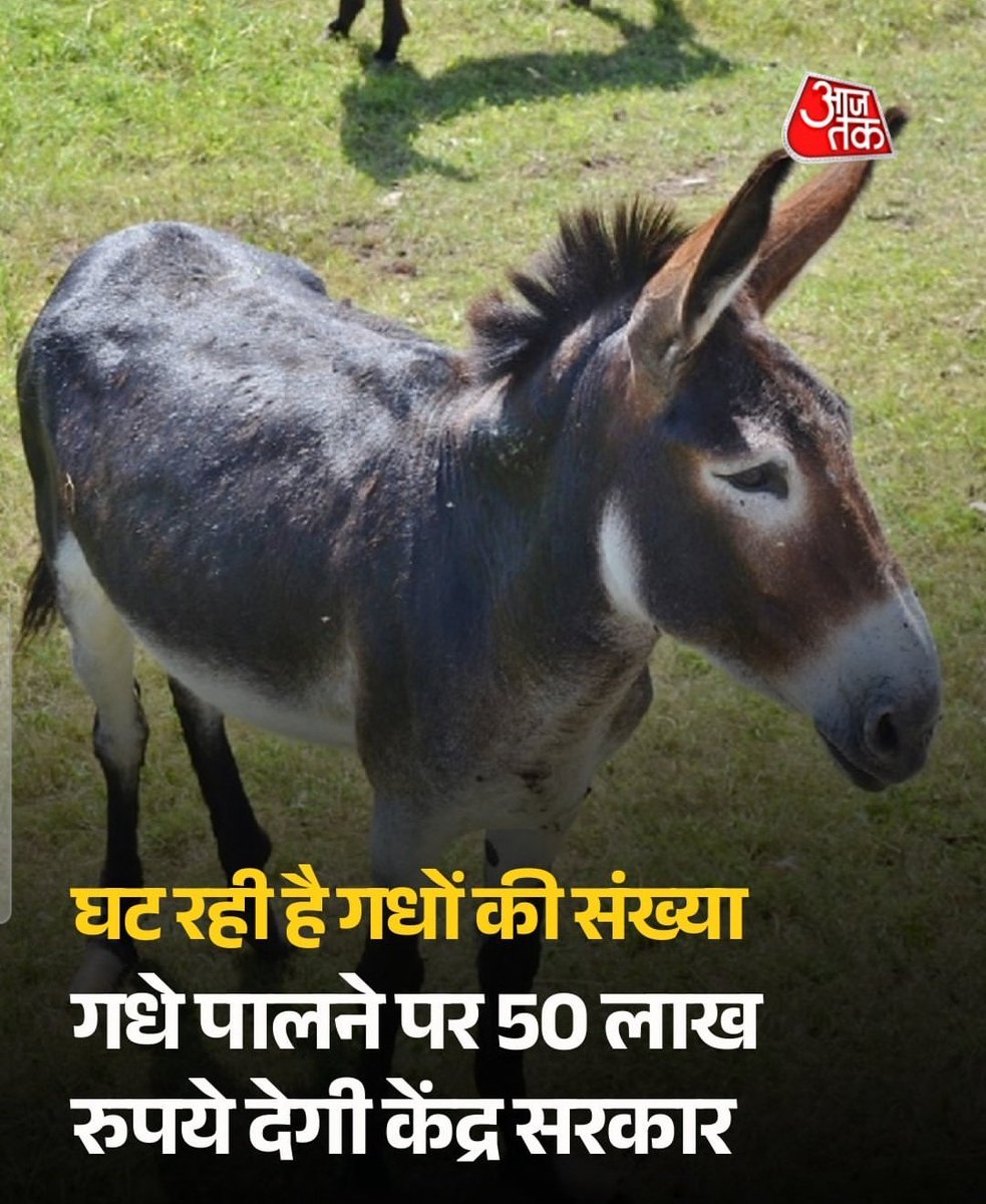 Bad Baaz tweet media