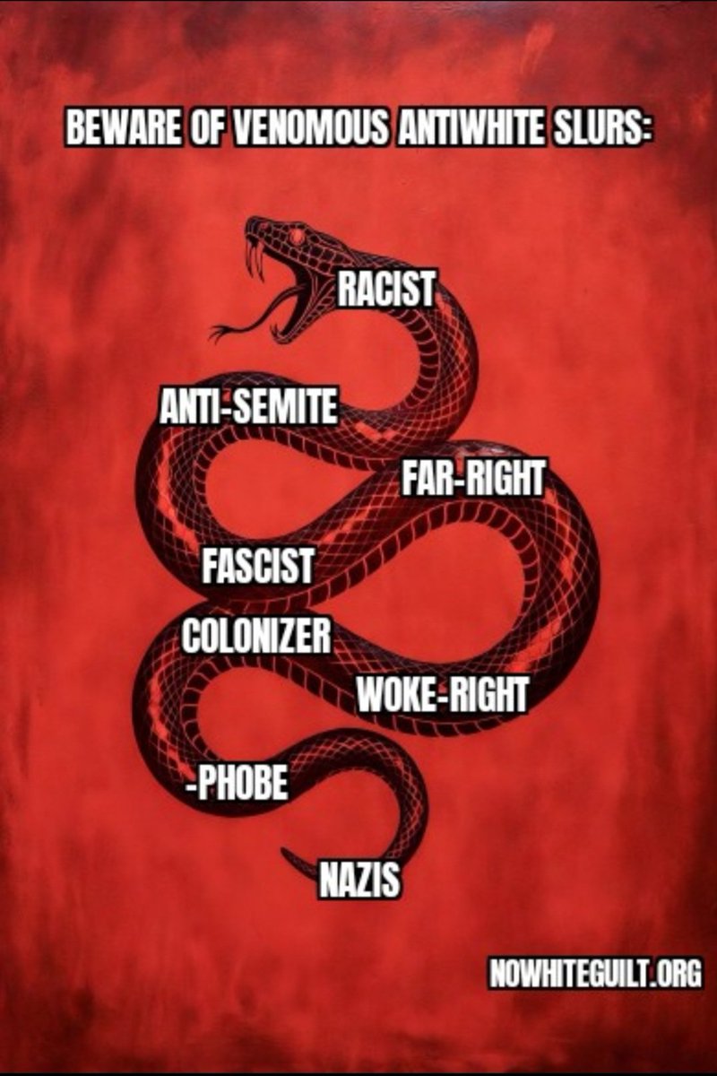 Diplomat4Westernkind tweet media