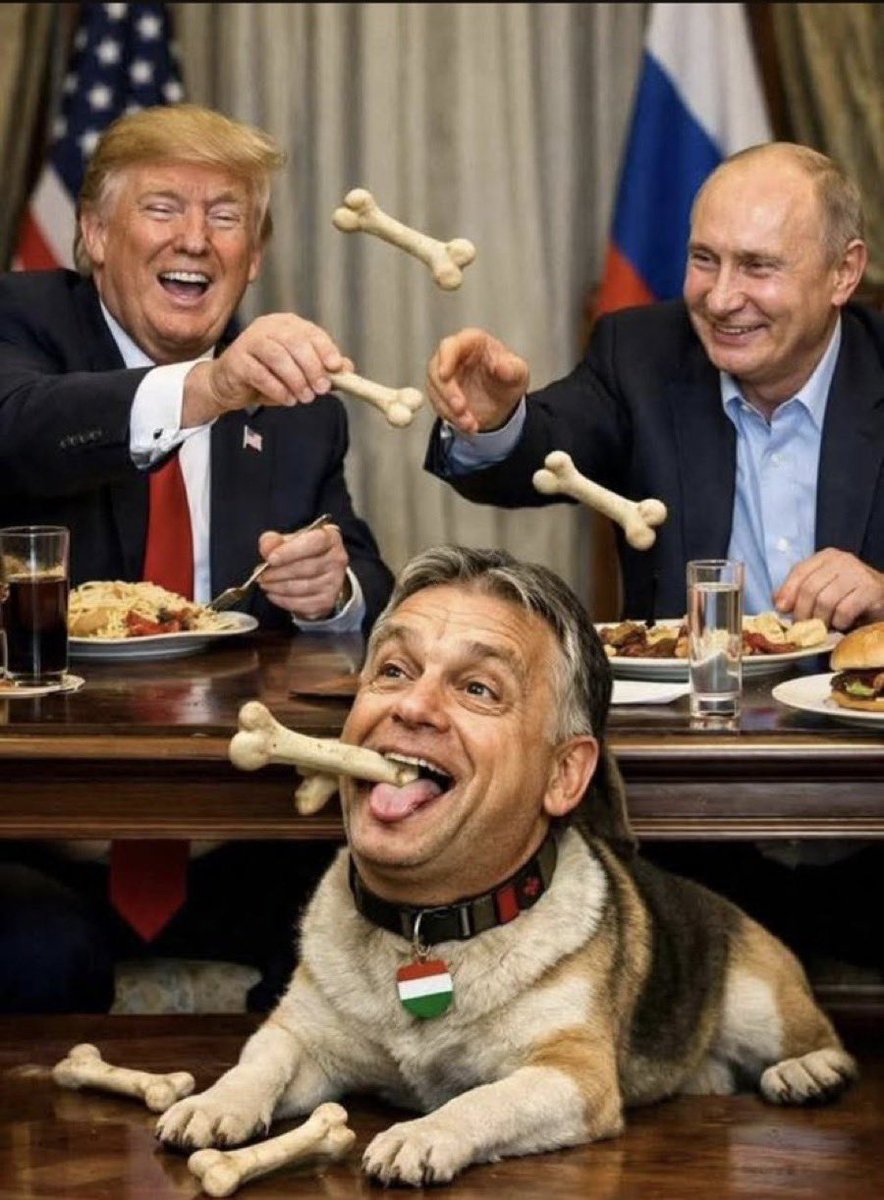 🇺🇦Sergiy Singur⚓️ tweet media