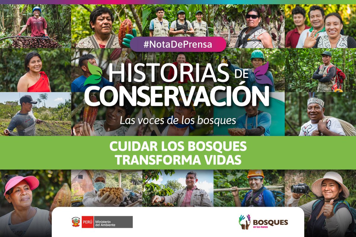 Programa Bosques tweet media